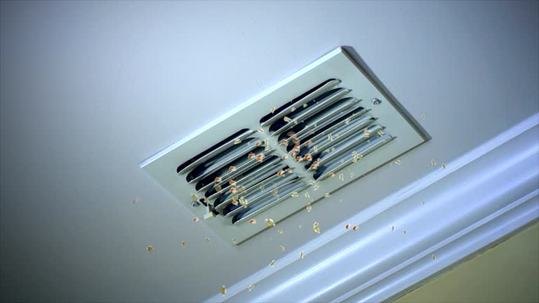 Best Affordable HVAC Duct Cleaning  in Burnt Mills, MD
