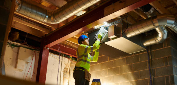 Air Duct Mold Removal in Burnt Mills, MD